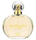Sun Dapples