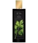Geranium Pepper