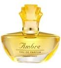 Ambre