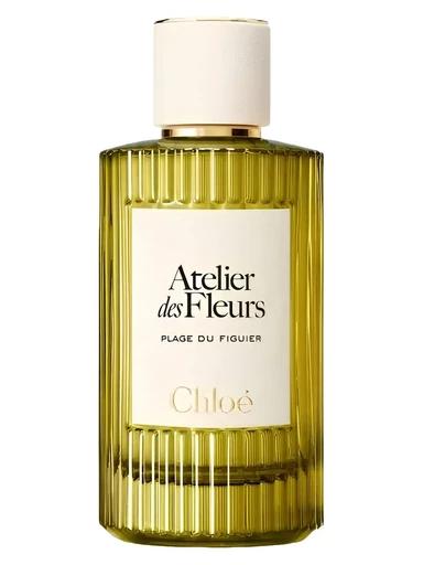 Plage du Figuier Chloé for women and men