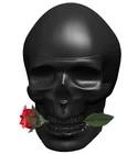 Ed Hardy Skulls & Roses for Him