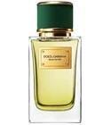 Velvet Vetiver