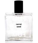 Carrot Seed