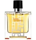 Terre d'Hermès flacon H 2013