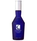 Caldion