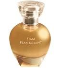 Siam Flamboyant