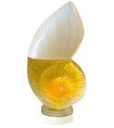 Fleur de Nacre