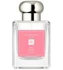 Red Roses Cologne (2023