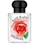 Rose Blush Cologne 2024