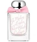 Rose Blush Cologne
