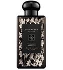 Tuberose Angelica Rich Extrait
