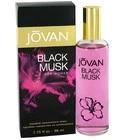 Black Musk