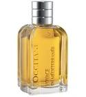 Immortelle de Corse