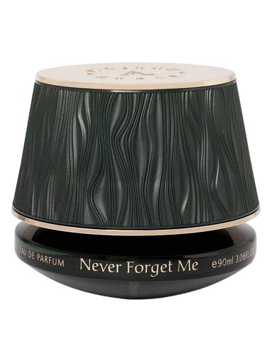 Never Forget Me
