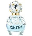 Daisy Dream