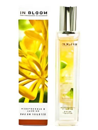 Jasmine and Honeysuckle