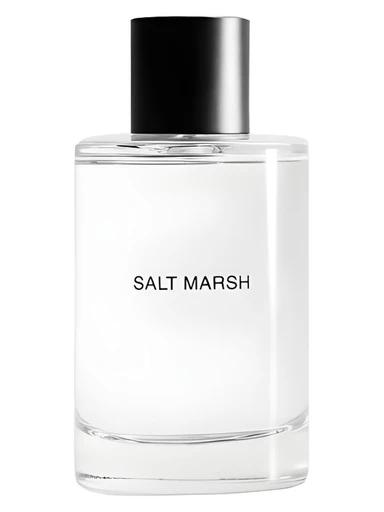 Salt March
