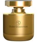 Oudh Osmanthus