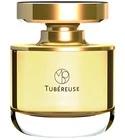 Tubereuse