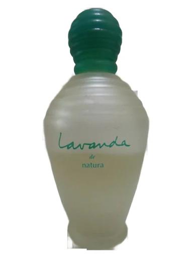 Lavanda
