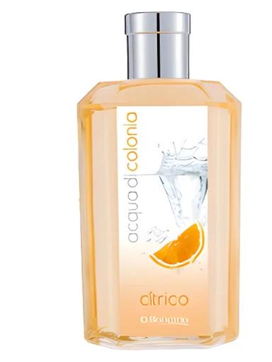 Acqua di Colonia Citrus