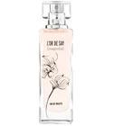L'Or De Say Magnolia