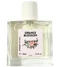 Orange Blossom