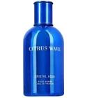 Citrus Wave