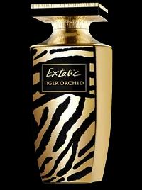 Extatic Tiger Orchid