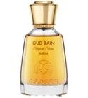 Oud Rain Tropical Storm