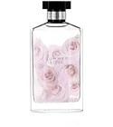 Stella Summer Rose