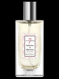 Noble Rose of Afghanistan