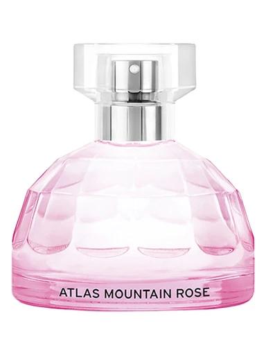 Atlas Mountain Rose