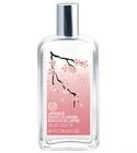 Japanese Cherry Blossom Eau de Toilette