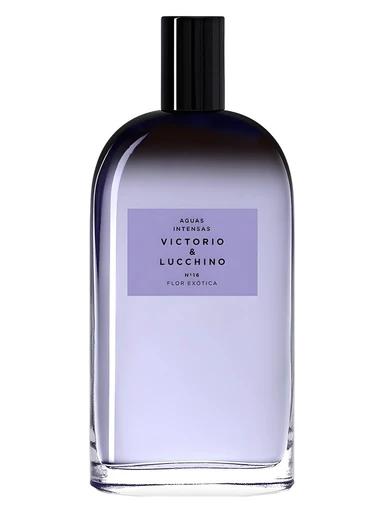 N° 16 Flor Exótica