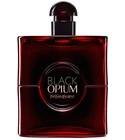 Black Opium Over Red