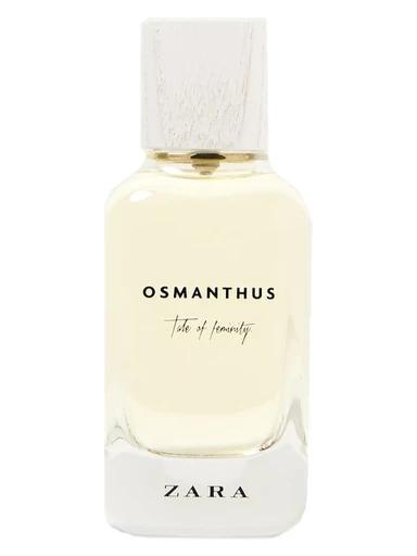 Osmanthus Tale Of Feminity