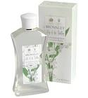 Lily of the Valley