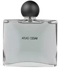 Collection Homme/Atlas Cedar