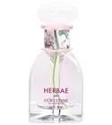 Herbae L'Eau