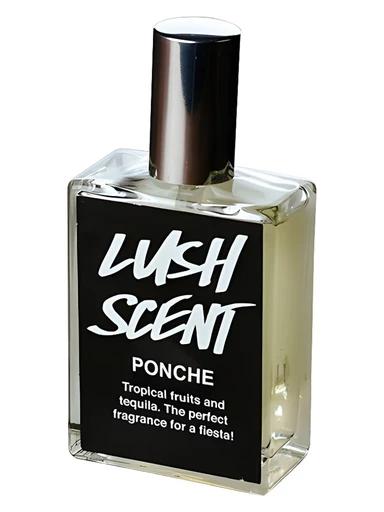 Ponche Lush for women and men