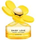 Daisy Love Sunshine