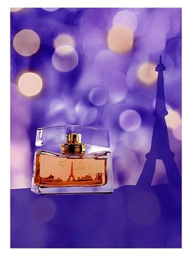 Love in Paris Christmas 2006 Nina Ricci for women