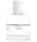 Taylor
