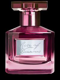 Rose of Dreams