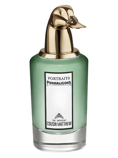 The Impudent Cousin Matthew