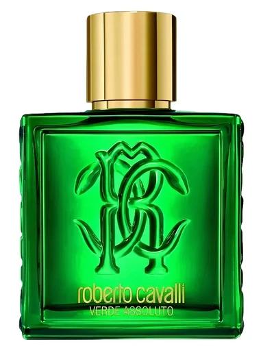Roberto Cavalli Uomo Verde Assoluto Roberto Cavalli for men