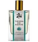 Tierra de Agave