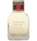 Awaken Distilled