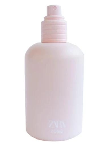 R Rose Zara for women